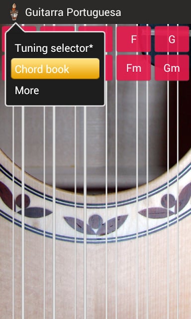 Portuguese Guitar截图8