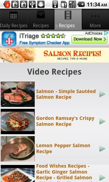 Salmon!截图3