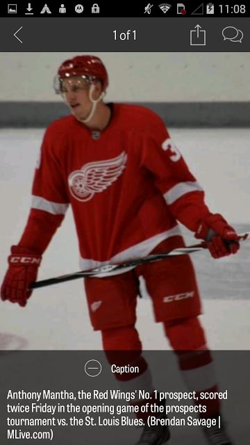 MLive.com: Red Wings News截图2