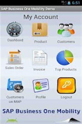 SAP Business One Demo截图2