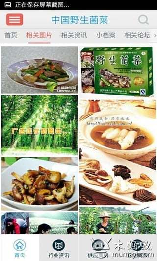 中国野生菌菜截图5