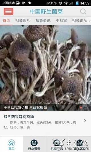 中国野生菌菜截图2