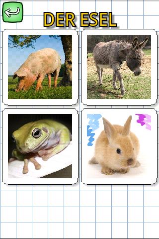 Animals in German截图1