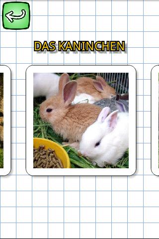 Animals in German截图4