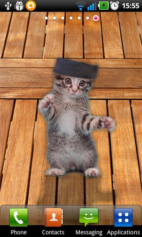 Kitty Dance Live Wallpaper截图2