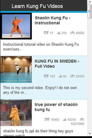 Learn Kung Fu Videos截图1