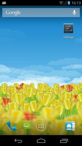 Dutch Tulips Live Wallpaper截图6