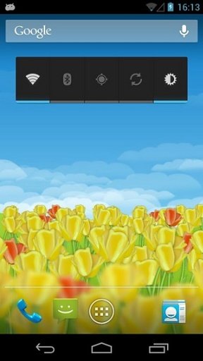 Dutch Tulips Live Wallpaper截图5