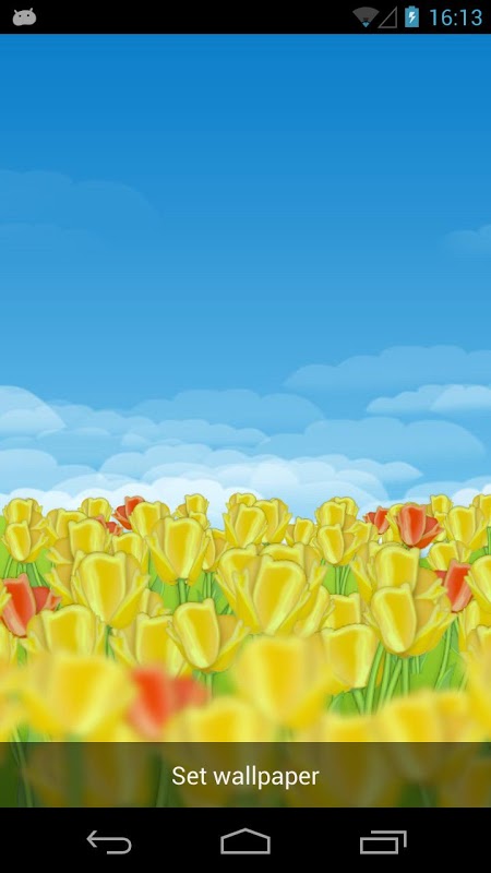 Dutch Tulips Live Wallpaper截图1