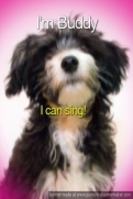 talking dog sings rap截图2