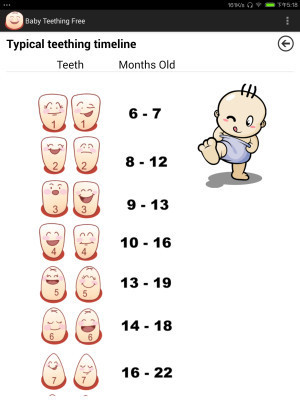 婴儿出牙期Baby Teething截图4