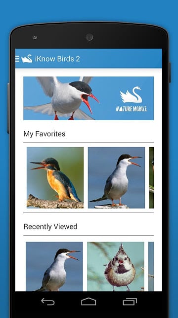 Birds PRO Trial截图5