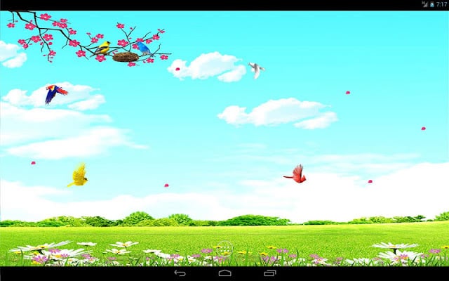 Sky Birds Live Wallpaper Free截图5