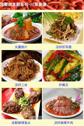 大厨川菜食谱截图1