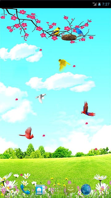 Sky Birds Live Wallpaper Free截图1