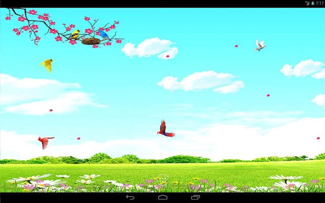 Sky Birds Live Wallpaper Free截图9