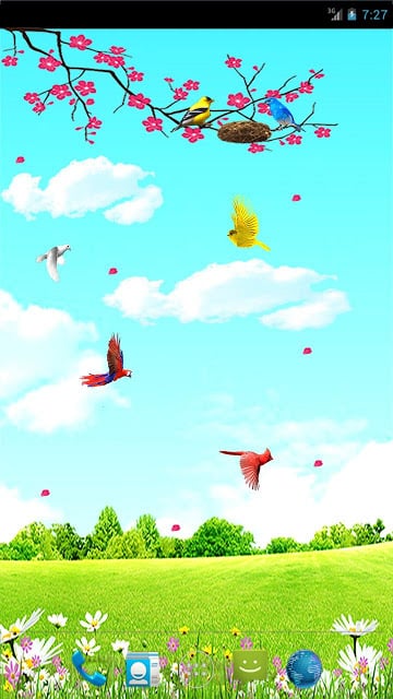 Sky Birds Live Wallpaper Free截图8