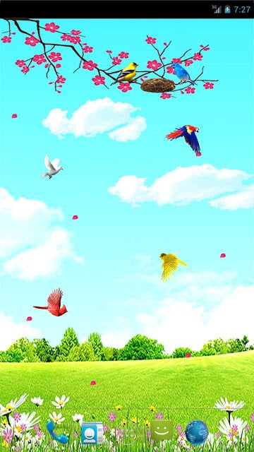 Sky Birds Live Wallpaper Free截图7