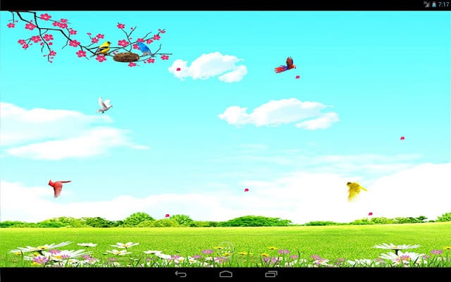 Sky Birds Live Wallpaper Free截图3