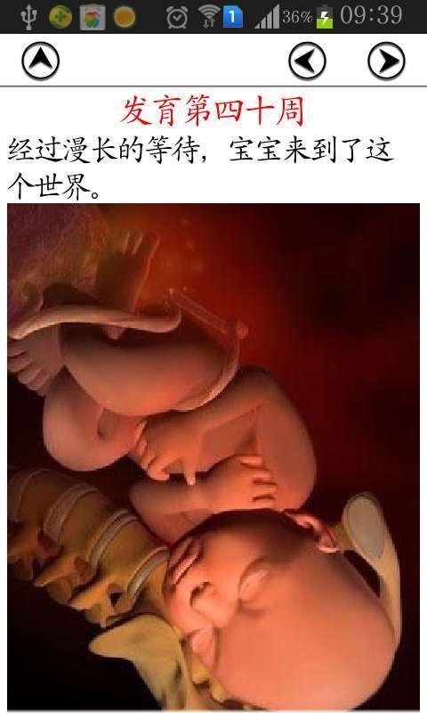 全套胎儿每周发育3D图截图3