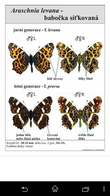 捷克蝴蝶图集截图4