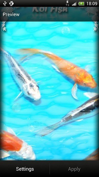 Koi Fish Live Wallpaper Free截图5