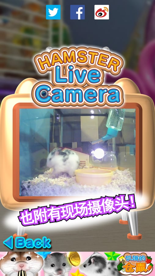 饥饿的仓鼠 Hamster截图7