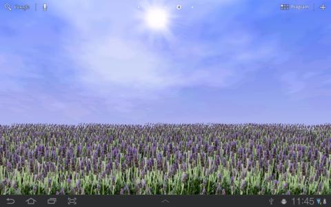 薰衣草壁纸 Lavender Field FREE截图7