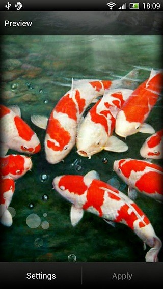 Koi Fish Live Wallpaper Free截图1