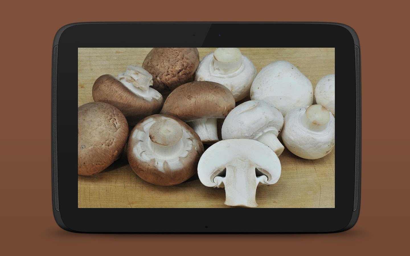 Mushrooms FREE截图6