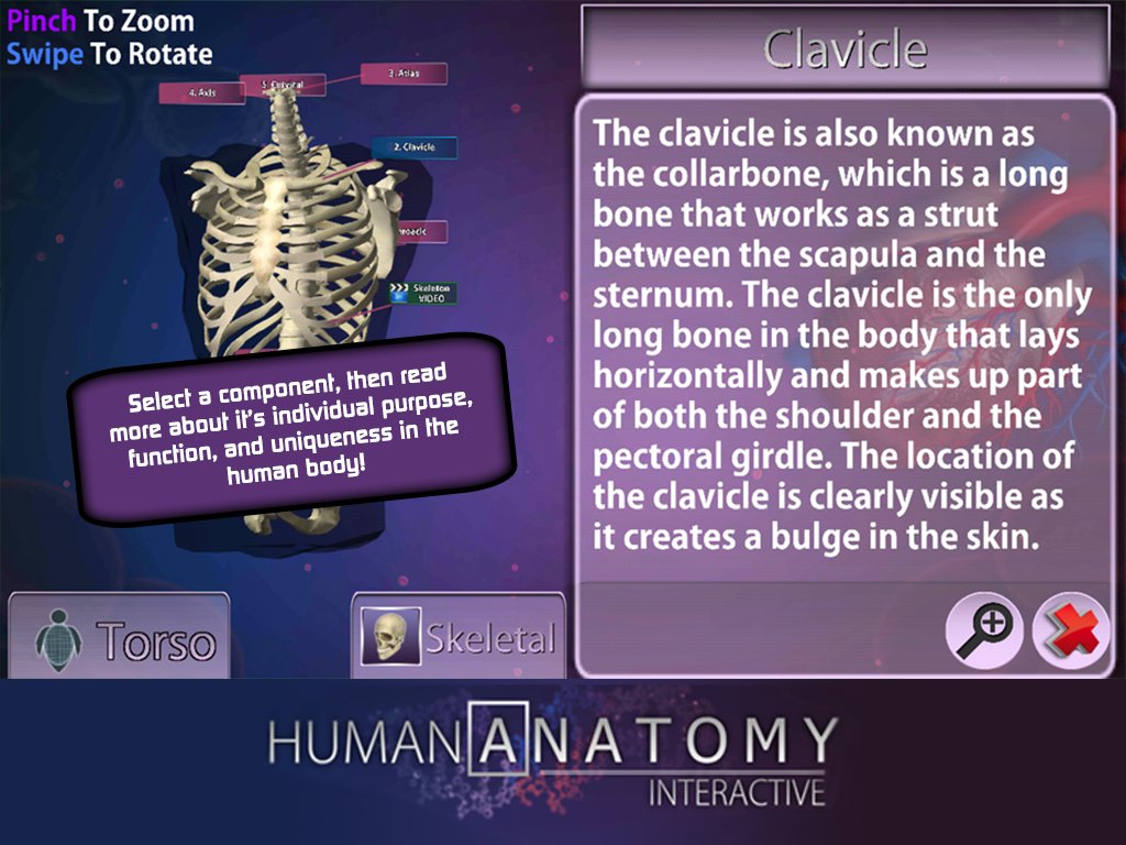 Anatomy Chart截图3