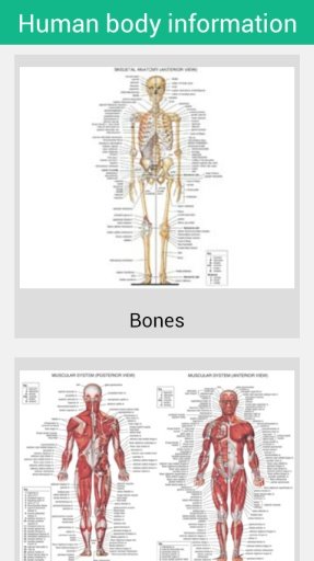 人体构造截图3