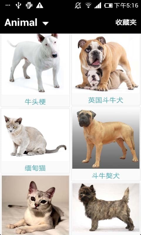 猫狗百科截图3