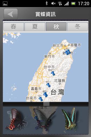 爱凤蝶截图6