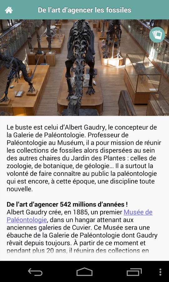 Galerie de Paléontologie MNHN截图2