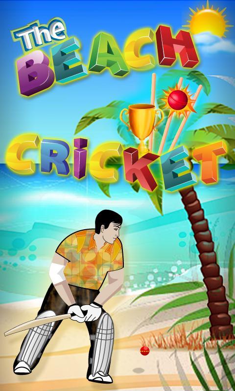 The Beach Cricket截图1