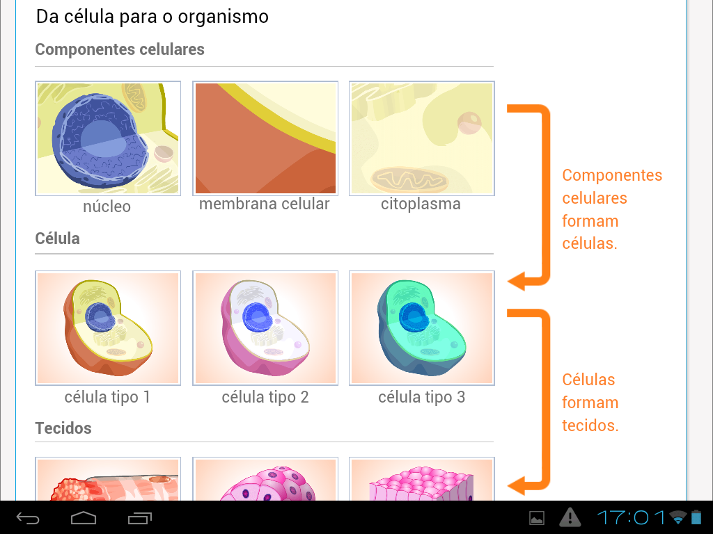 Células animais e vegetais截图5