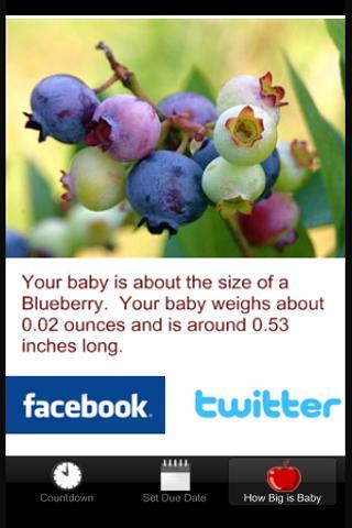 How Big Is My Baby? - Due Date截图3