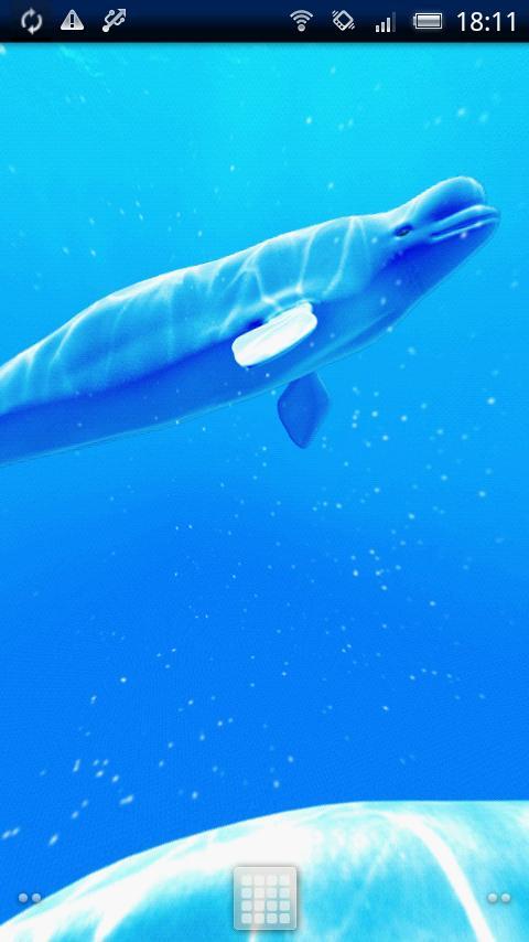 Shoal of Beluga Trial截图1