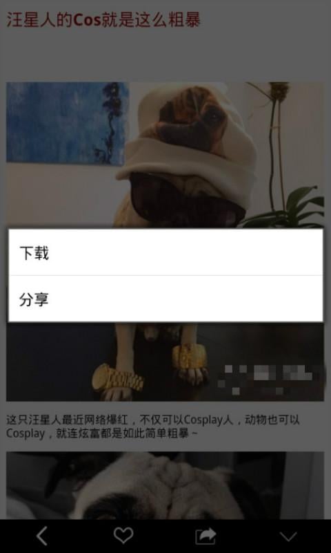 无节草截图4