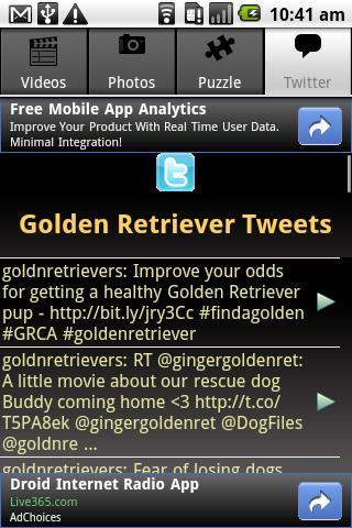 Golden Retriever. Puzzle More截图3