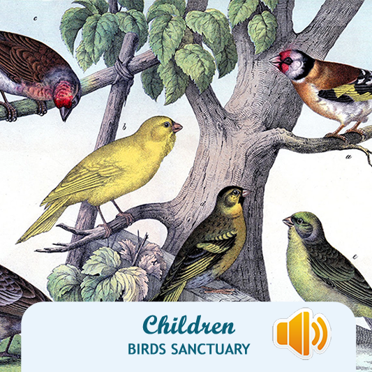 Children Birds Sanctuary截图4