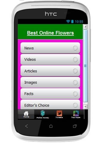 最好的网上鲜花 Best Online Flowers截图2