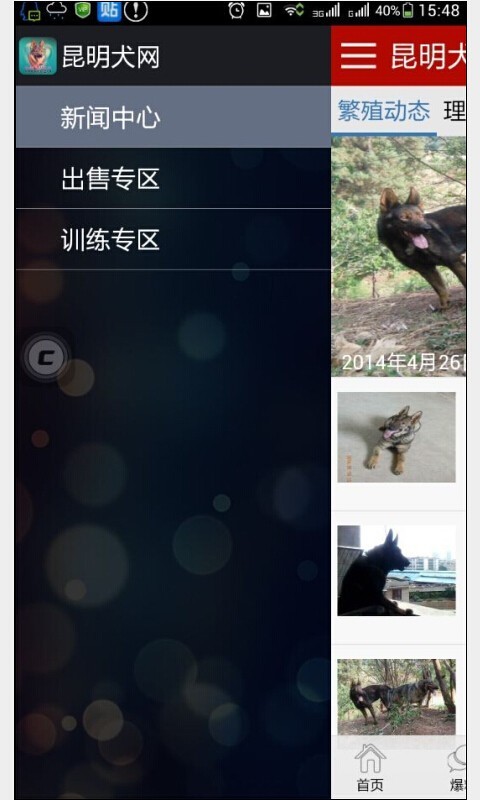 昆明犬网截图2