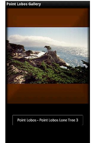 Point Lobos Gallery截图1