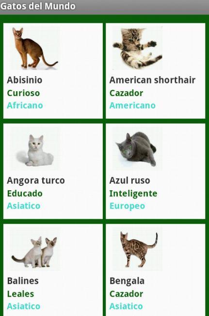 Gatos del mundo截图2