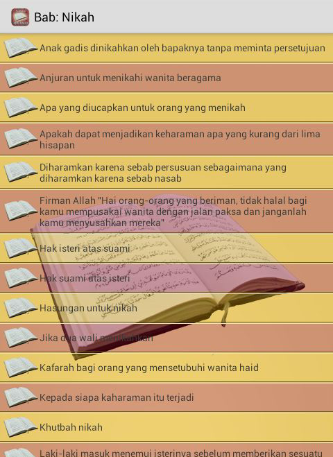 Kitab Sunan Abu Daud截图3