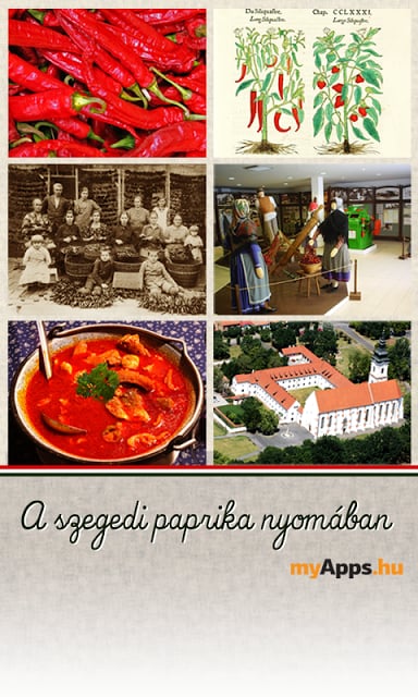 A szegedi paprika nyom&aacute;ban截图2