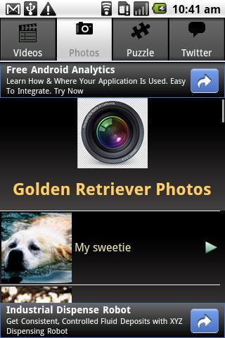 Golden Retriever. Puzzle More截图2