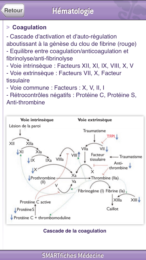 SMARTfiches Hématologie Free截图6